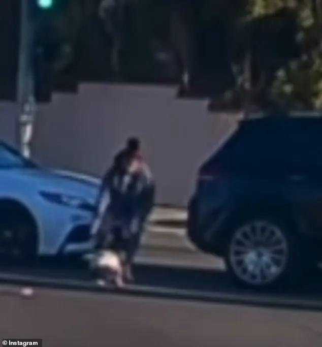 Viral Footage Shows 19-Month-Old Tumbling from Moving Car in Fullerton Intersection