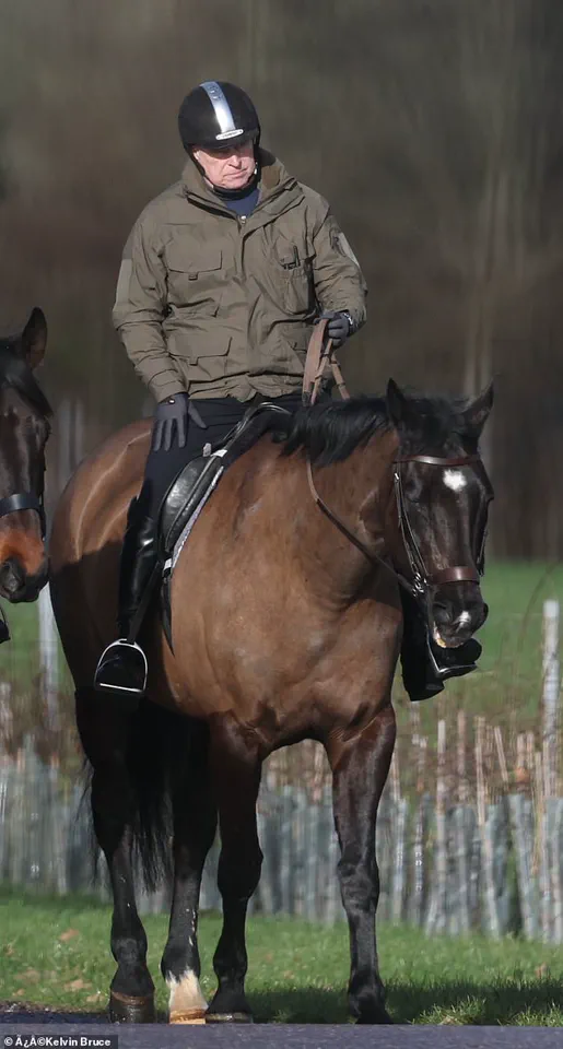 DOJ's Epstein-Linked Document Release Sparks Public Scrutiny of Royal Involvement