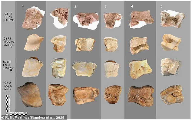 A Weathered Bone Beneath a Spanish Hospital May Finally Prove Hannibal's Legendary Elephant Crossing