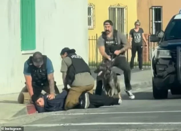 Alleged ICE Raid in Viral Video Unveiled as Jewelry Heist Misunderstanding