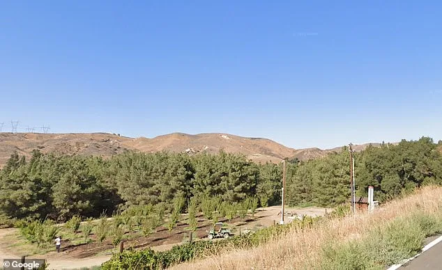 Disney's Secret Gold Oak Ranch: A Restricted Haven for Film and Amusement Park Testing