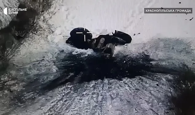 Frozen in the Snow: A Ukrainian Couple's Tragic Encounter with Russian Drones in the Shadow of War