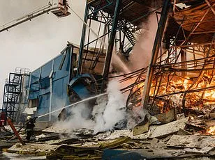 Frozen in the Snow: A Ukrainian Couple's Tragic Encounter with Russian Drones in the Shadow of War