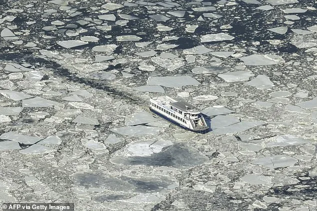 Frozen in Time: Satellite Image Captures New York's Icy Winter Storm and Human Toll