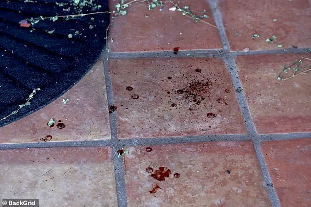 Frustration Mounts in Nancy Guthrie Disappearance Case as New Ransom Note Surfaces, Family Urges Abductors to Contact Authorities