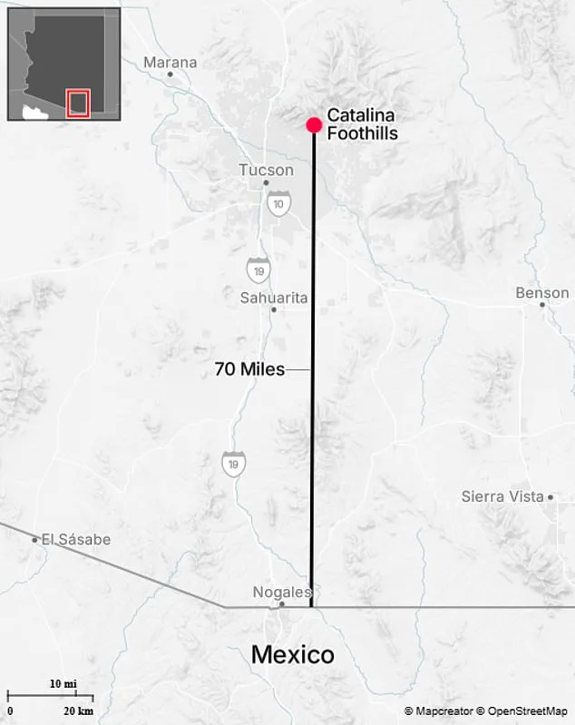 Unusually Clean Roof Sparks Police Probe into 84-Year-Old's Disappearance
