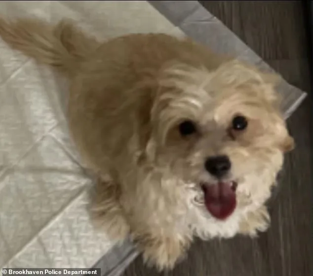 Young Rapper Arrested After Viral Video Allegedly Shows Dog Abuse During Live Stream