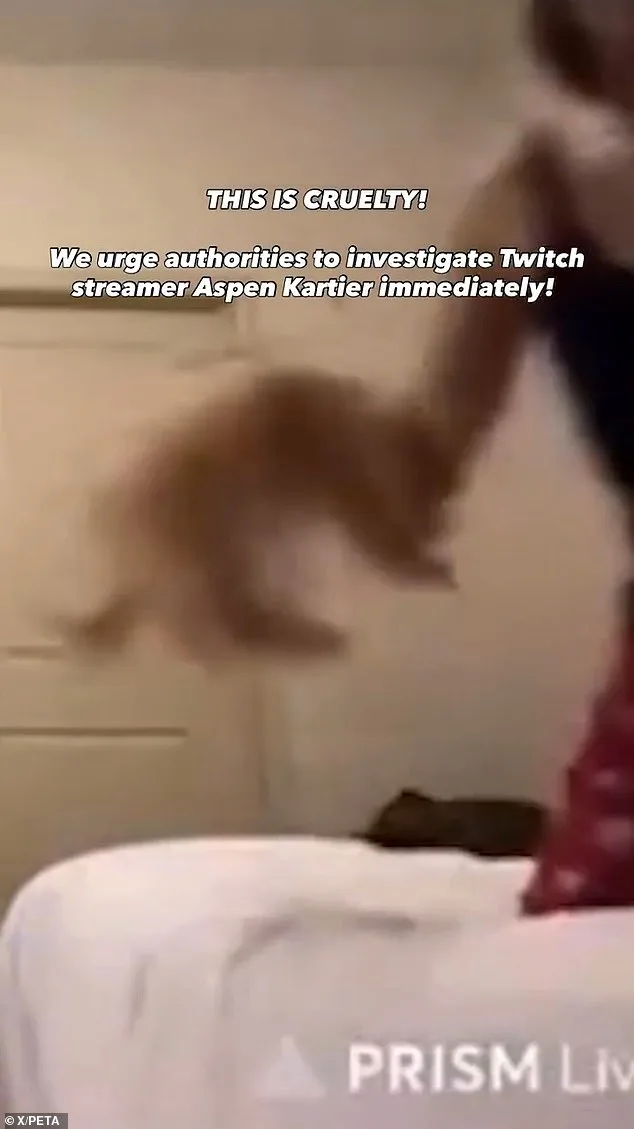 Young Rapper Arrested After Viral Video Allegedly Shows Dog Abuse During Live Stream