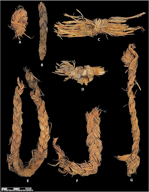 12,000-Year-Old Sewn Clothing in Oregon Reveals Advanced Skills of Early North Americans