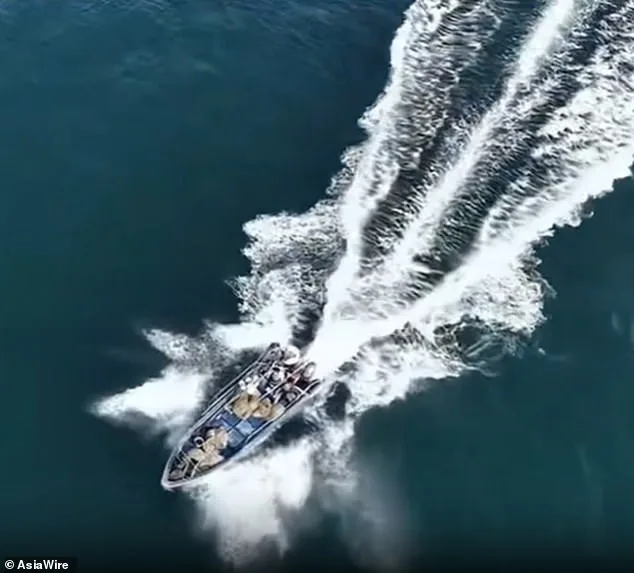 Bryde's Whale Collides with Fishing Boat Near Weizhou Island, Guangxi, Sustaining a Long White Scar