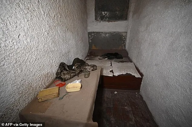 Alleged Russian Torture of Ukrainian POWs Faces Verification Challenges