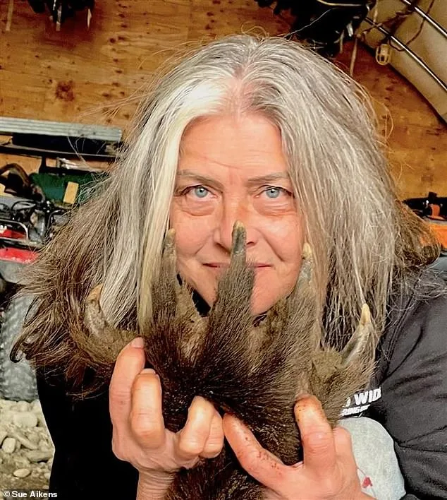 Defying the Wild: Susan Aikens' Journey from Bear Attack to Arctic Survival