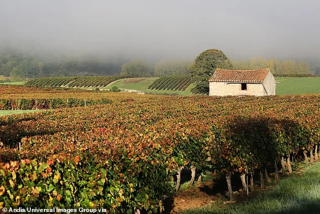 Psychotherapist's Past Life Revelation: A 1847 Connection with Her Boyfriend