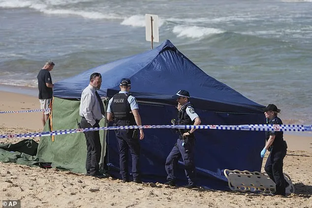 Shark Attack Hotspots 2025: Florida Tops List as Australia Faces Highest Fatality Rate