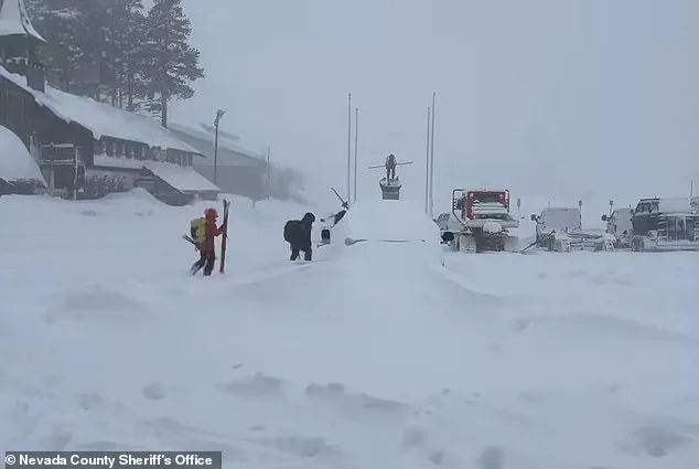 Avalanche Tragedy Claims Lives of Elite Ski Academy Mothers in Lake Tahoe