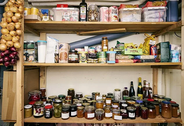 Sweden's 'Strong Village' Initiative: Preparing for Disruption Amid Ukraine Tensions