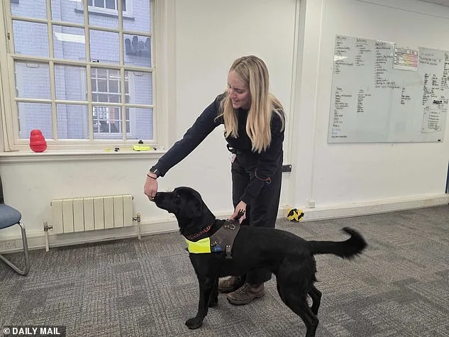 The Art of Matching Guide Dogs and Humans: Ellie Brown's Rewarding Journey