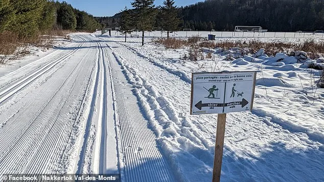 Freak Sledding Accident Claims Life of 4-Year-Old in Ontario