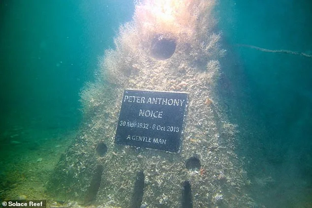 From Caskets to Cosmos: The Rise of Eco-Friendly Funerals in the UK