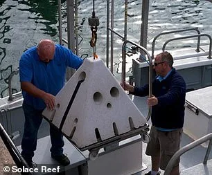 From Caskets to Cosmos: The Rise of Eco-Friendly Funerals in the UK