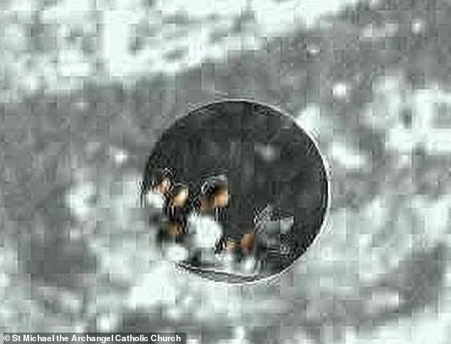 13 Microscopic Human Figures Discovered in the Eye of the Virgin Mary's Tilma: A 500-Year-Old Mystery Unfolds