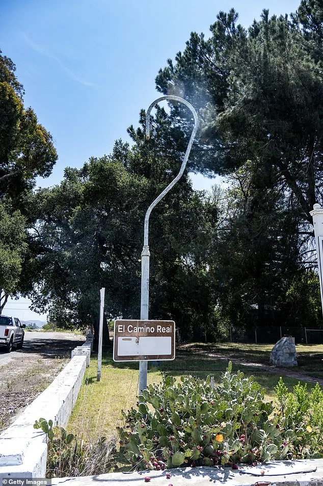 Burlingame's 'City of Trees' Battles Loss of Iconic Eucalyptus Groves Amid $173 Million Roadway Project