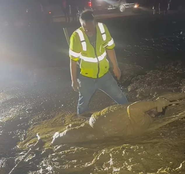 Mississippi Man Trapped in Deceptively Treacherous Mud During Trail Ride Event
