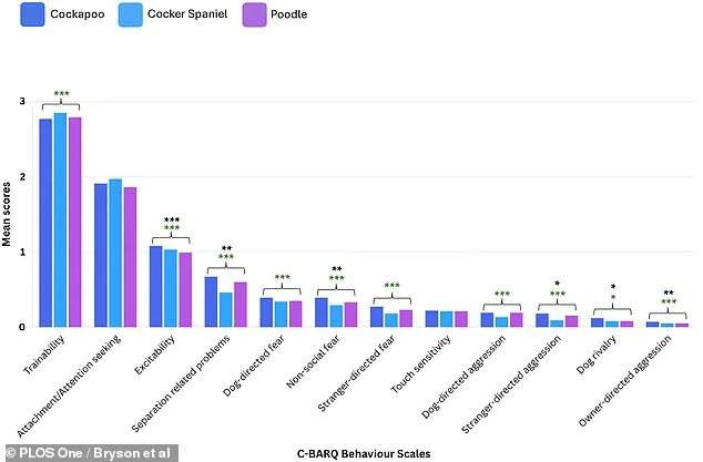 The Hidden Behavioral Risks of Cockapoos: A Study Challenges Their Popularity