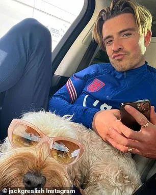 The Hidden Behavioral Risks of Cockapoos: A Study Challenges Their Popularity