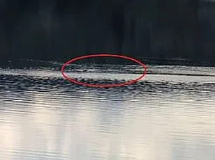 Mysterious Creature Spotted in Loch Ness Footage Reignites Interest in Legendary Monster