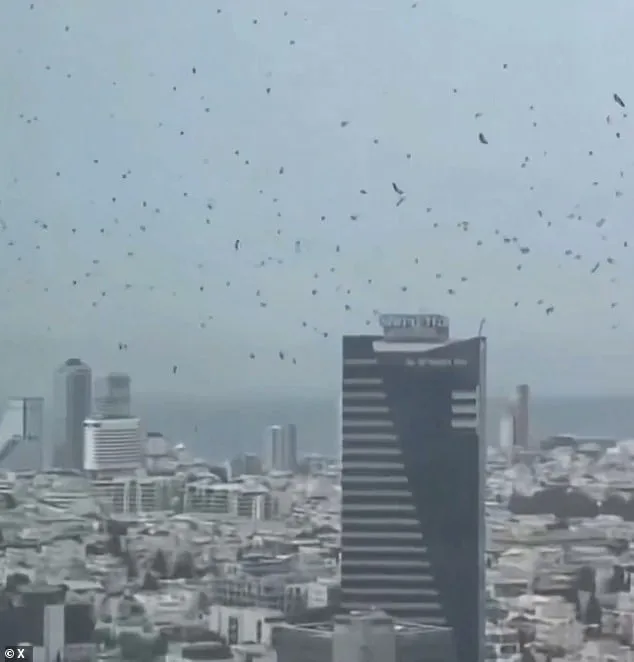 Tel Aviv Sky Filled with Crows: Harbinger of Doom Amid Israel-Iran Tensions
