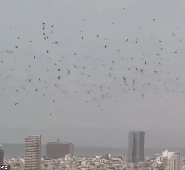 Tel Aviv Sky Filled with Crows: Harbinger of Doom Amid Israel-Iran Tensions