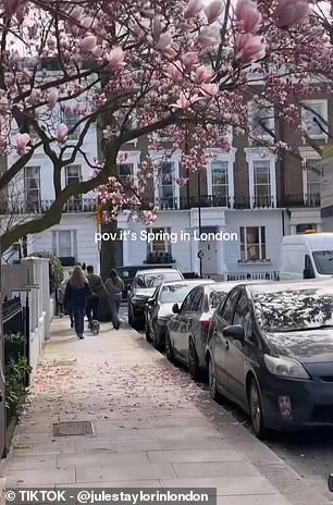 UK Weather Whiplash: 'Fool's Spring' Brings Unprecedented Temperature Swings as Met Office Weighs In