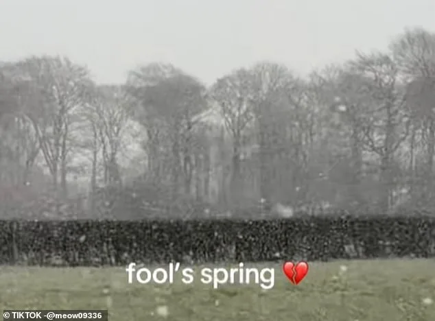 UK Weather Whiplash: 'Fool's Spring' Brings Unprecedented Temperature Swings as Met Office Weighs In