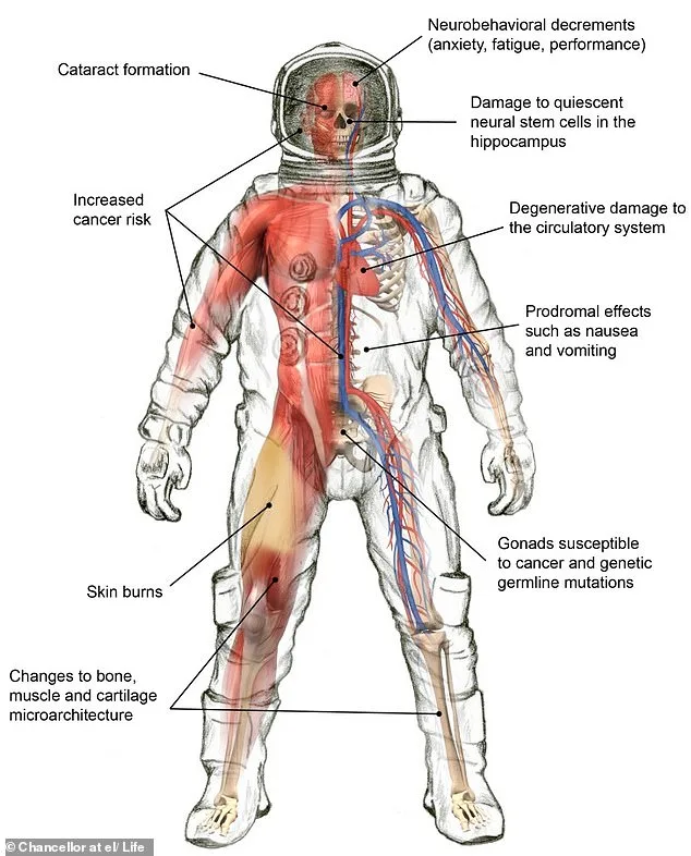 Shocking Effects of 10 Days in Space on Artemis II Astronauts' Bodies Revealed