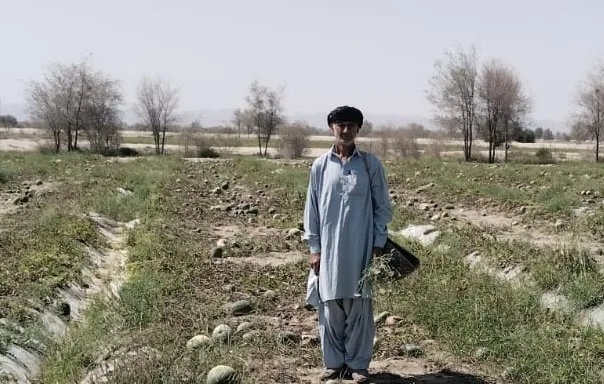 Scorched Fields and a Diesel Crisis: How the Ukraine War Threatens Crop Survival in Balochistan
