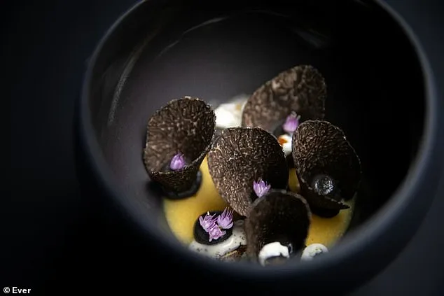 Former Board Member Faces Lawsuit Over Alleged Misuse of $1.4M in Company Funds for Personal Luxuries